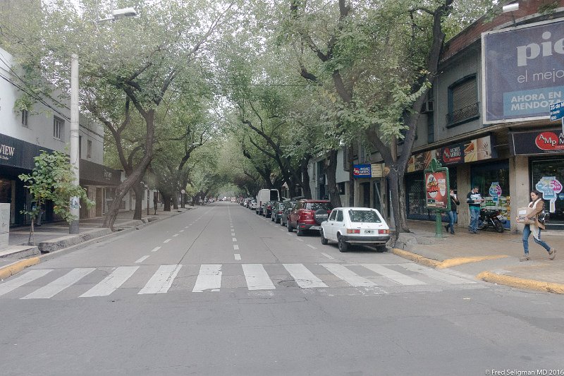 20160405_102818 RX100M3.jpg - Mendoza (city) has a population of about 100,000.  It is known for its many trees.